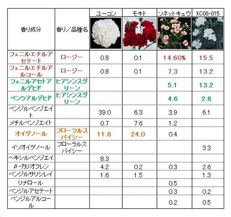 花品種名|人気の花の種類一覧